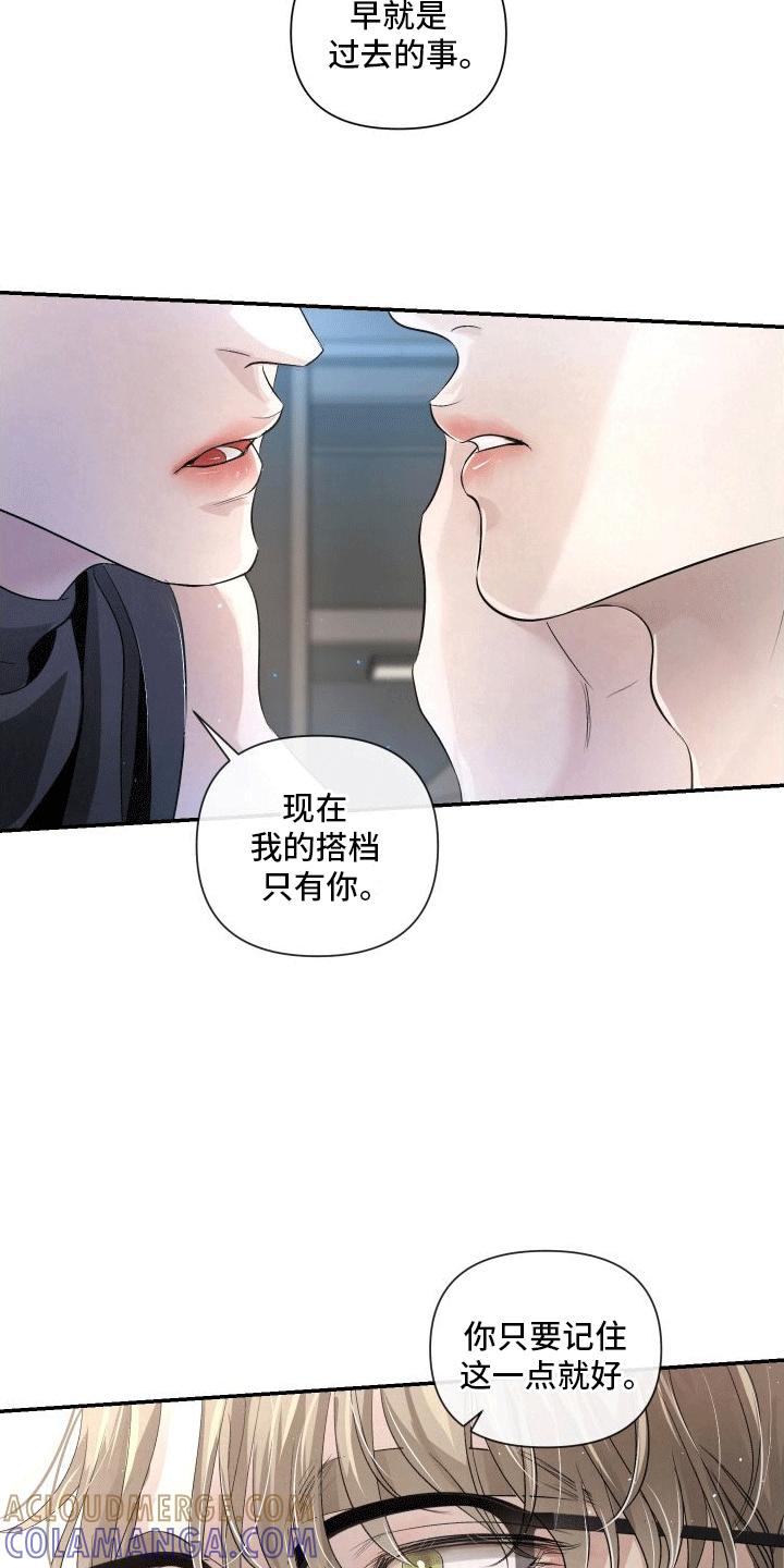 《血液指南》第19章：唯一的搭档 第11页