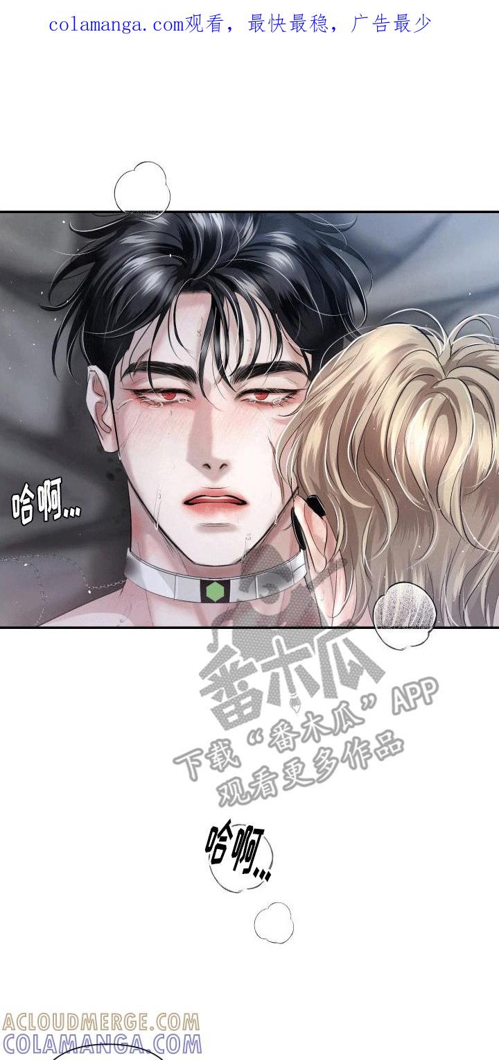 《血液指南》第19章：唯一的搭档 第1页
