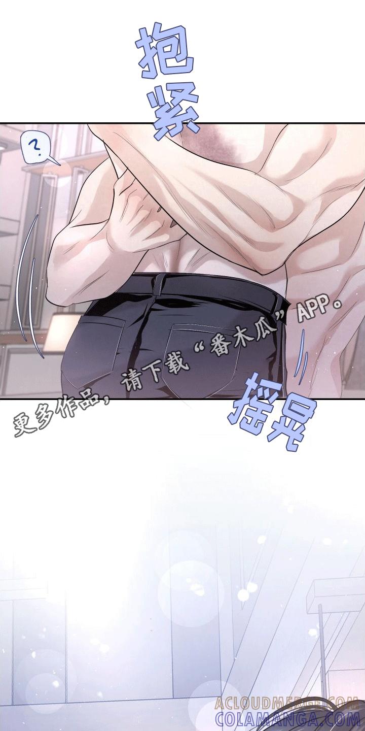 《血液指南》第19章：唯一的搭档 第13页