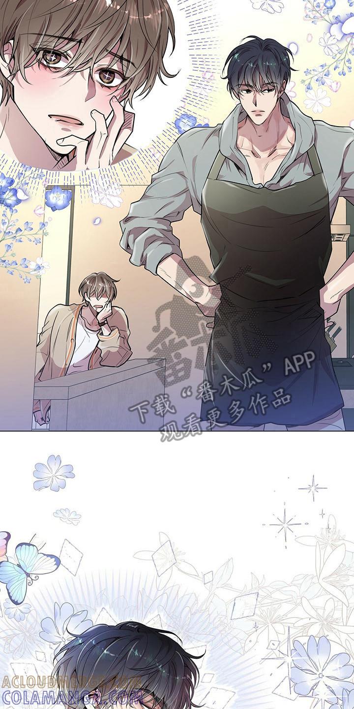 《虚情假意》第19章：条件 第15页