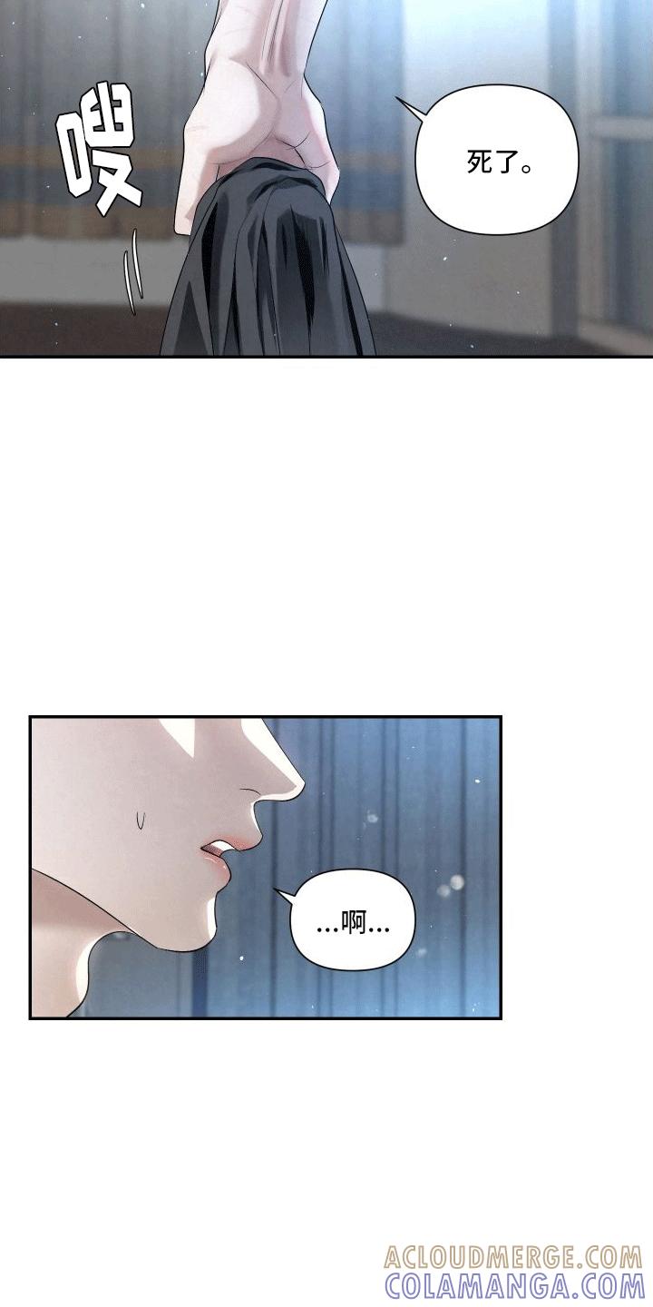 《血液指南》第19章：唯一的搭档 第5页