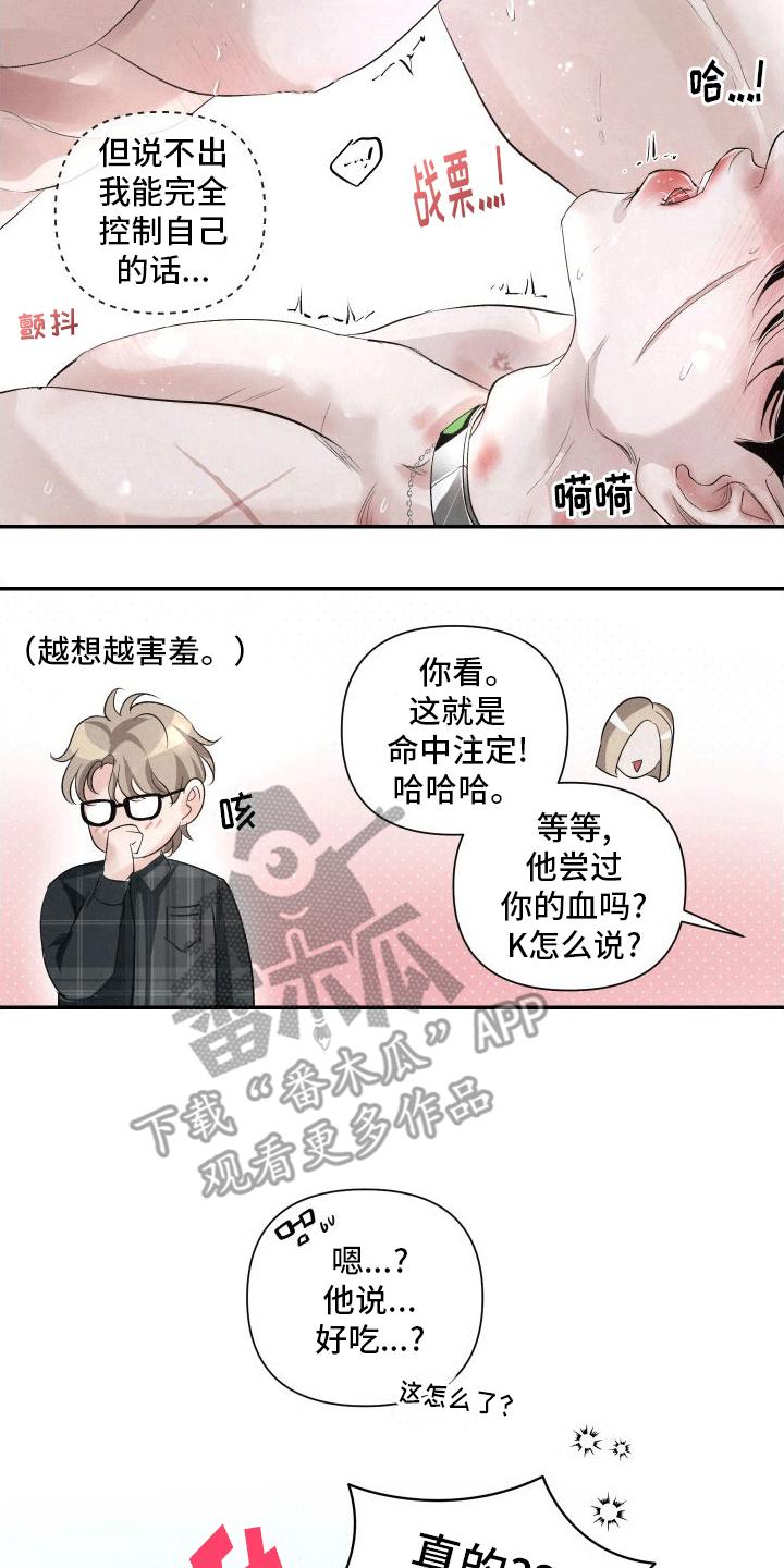 《血液指南》第20章：k的过去 第22页