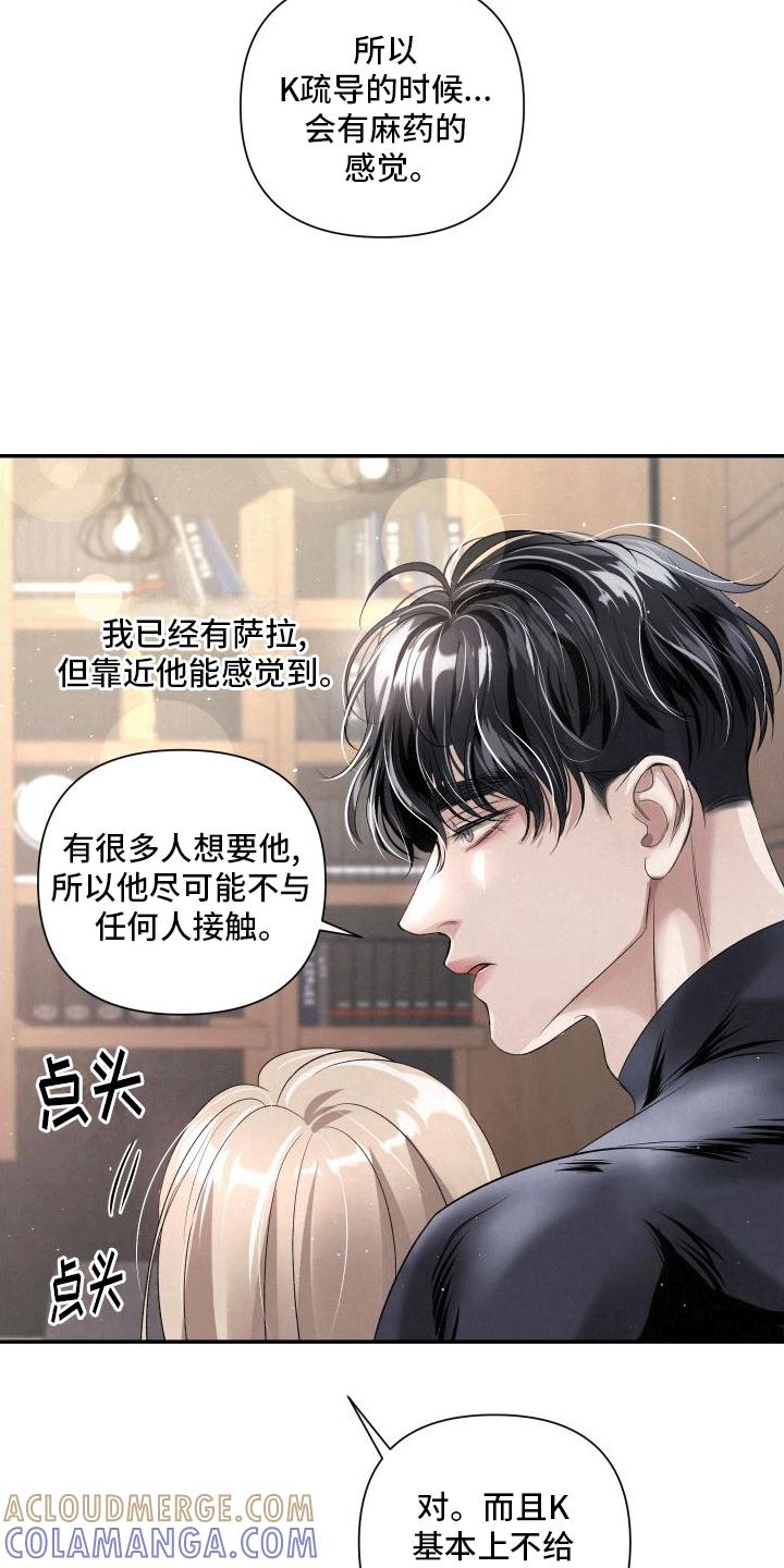 《血液指南》第20章：k的过去 第17页
