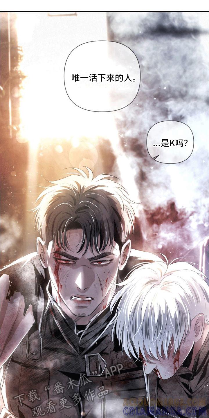 《血液指南》第20章：k的过去 第7页