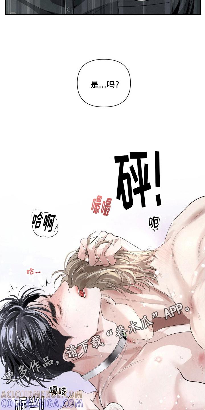 《血液指南》第20章：k的过去 第19页