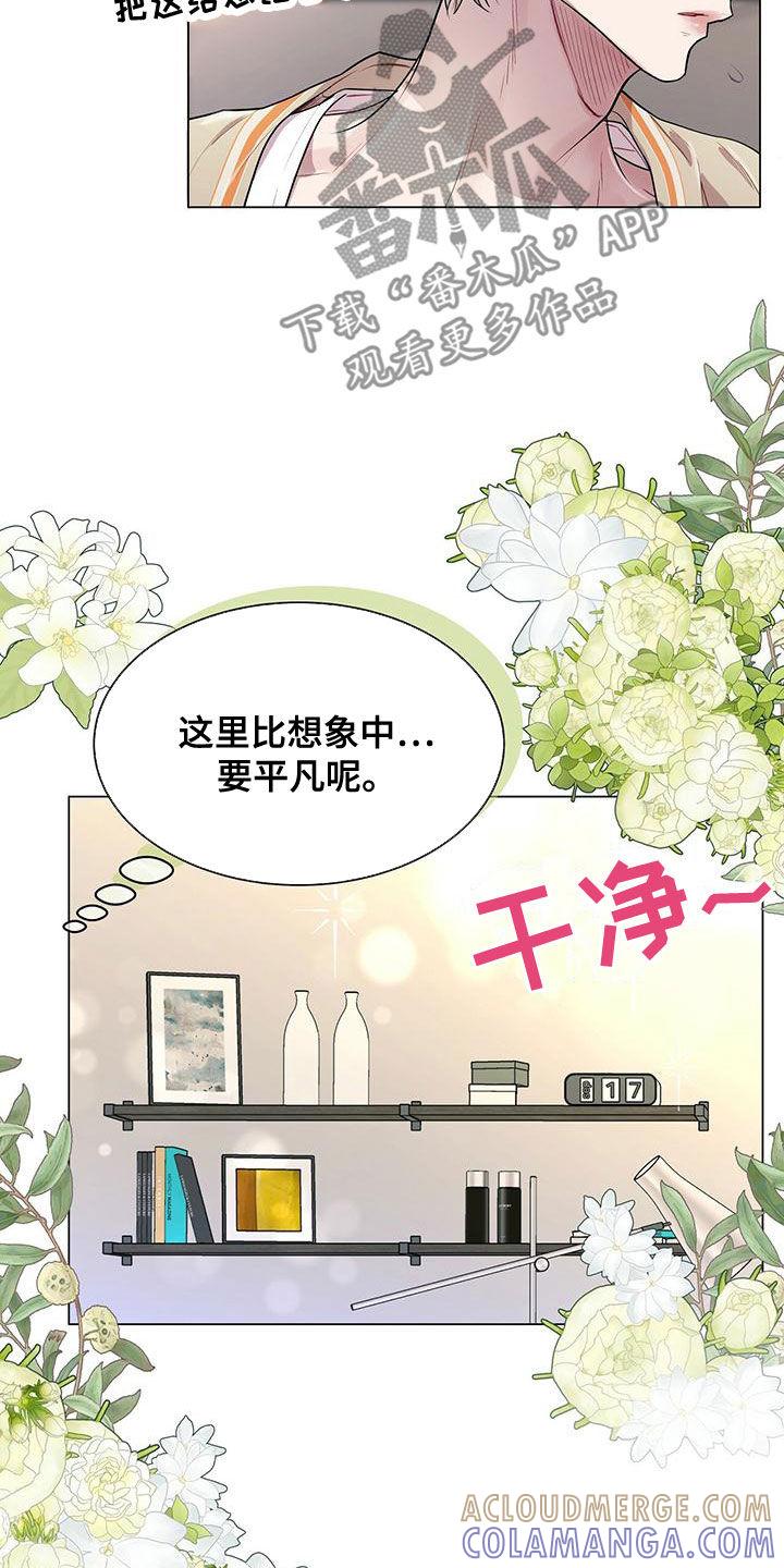 《虚情假意》第21章：肖像画 第13页