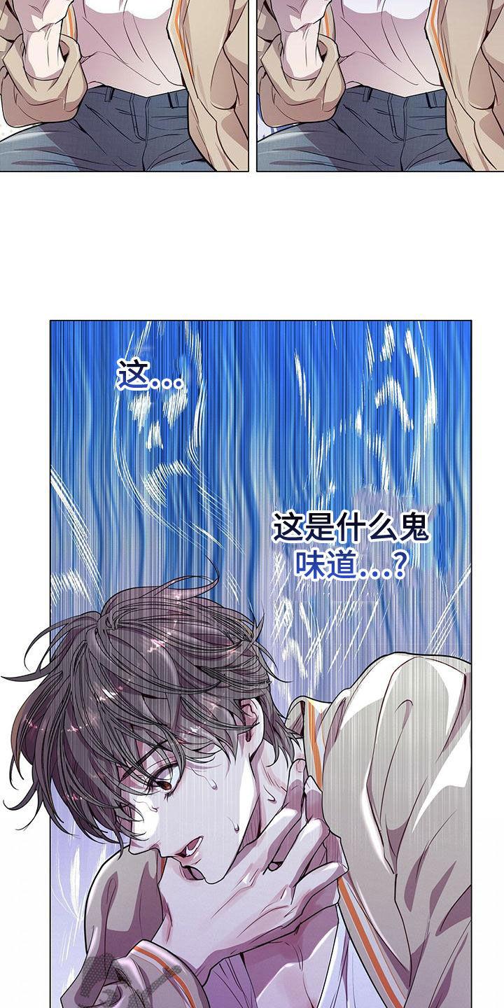《虚情假意》第22章：都是假的 第10页