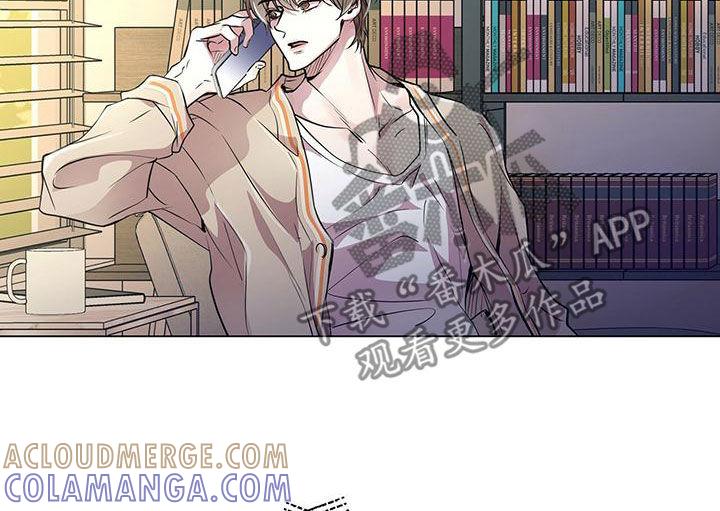 《虚情假意》第22章：都是假的 第17页
