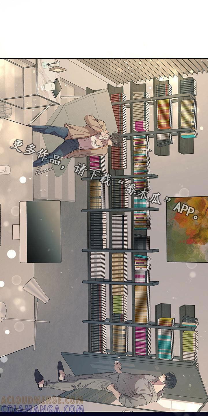 《虚情假意》第22章：都是假的 第33页