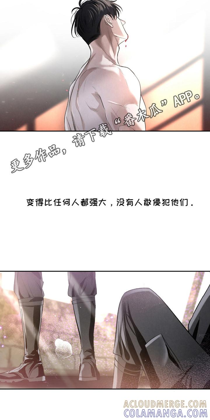 《血液指南》第23章：【第二季】其中一员 第11页