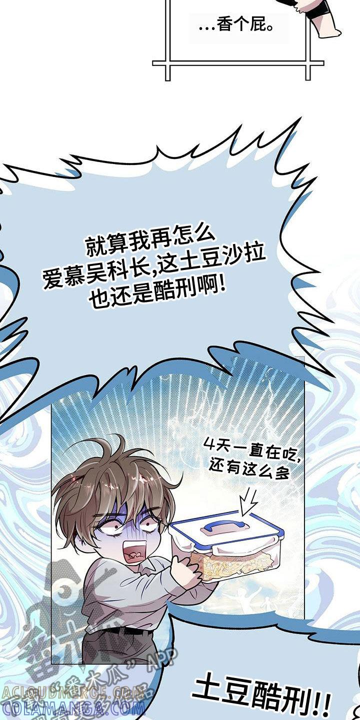 《虚情假意》第24章：土豆酷刑 第17页