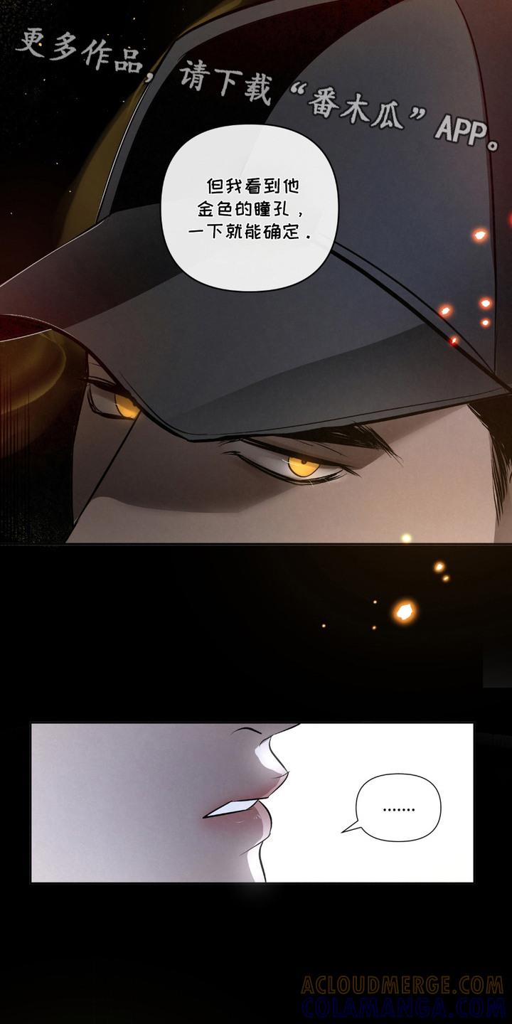 《血液指南》第24章：【第二季】疑点 第11页
