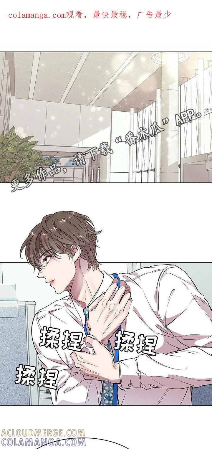 《虚情假意》第25章：来客 第1页