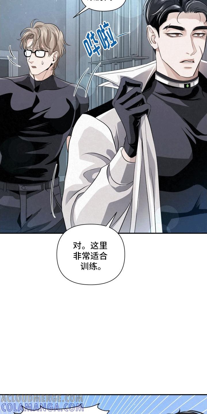 《血液指南》第7章：特殊的疏导 第11页