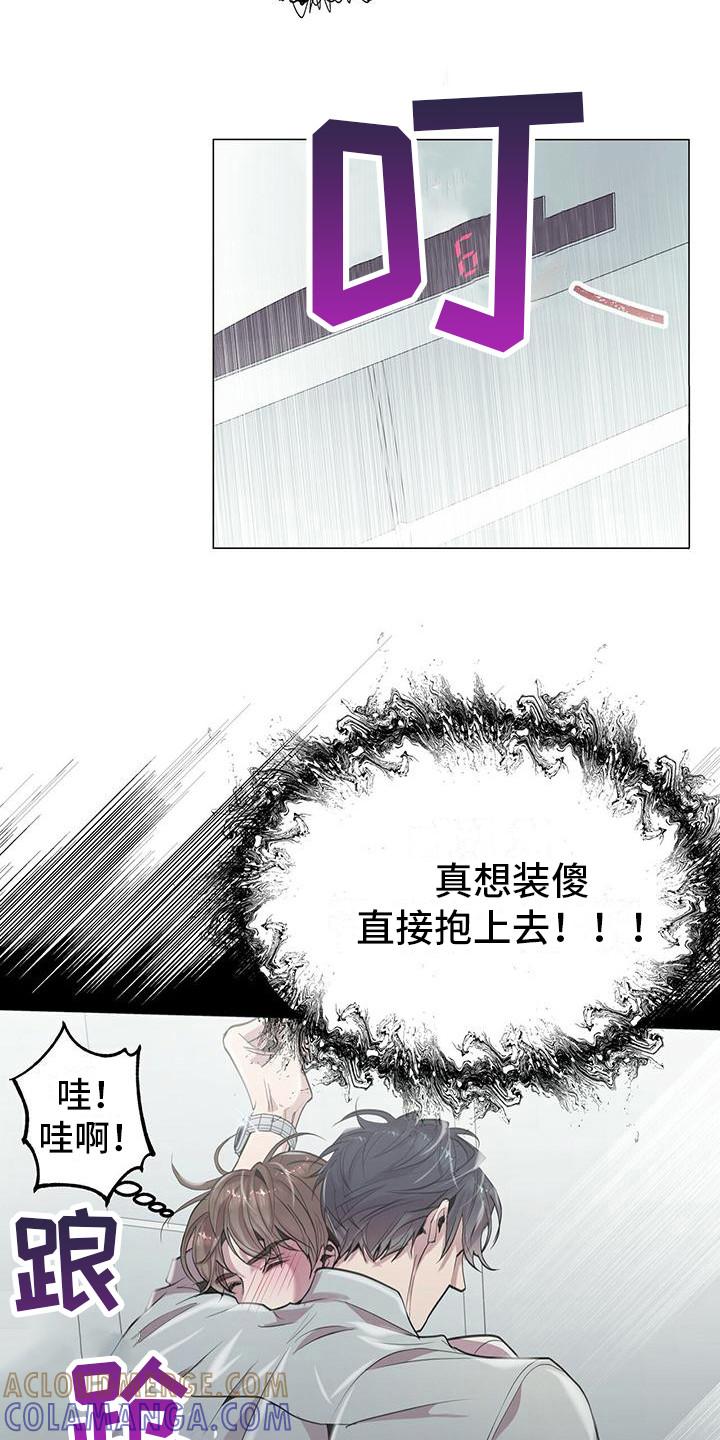 《虚情假意》第7章：壁咚 第17页