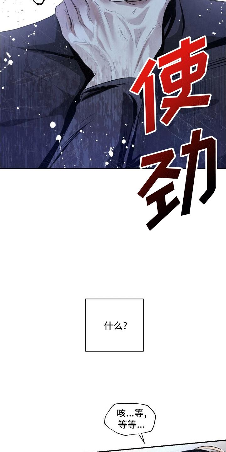 《血液指南》第7章：特殊的疏导 第26页