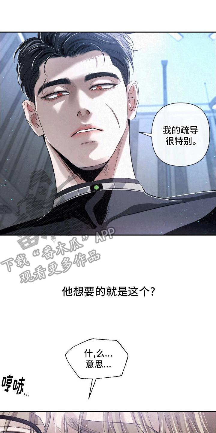 《血液指南》第7章：特殊的疏导 第28页