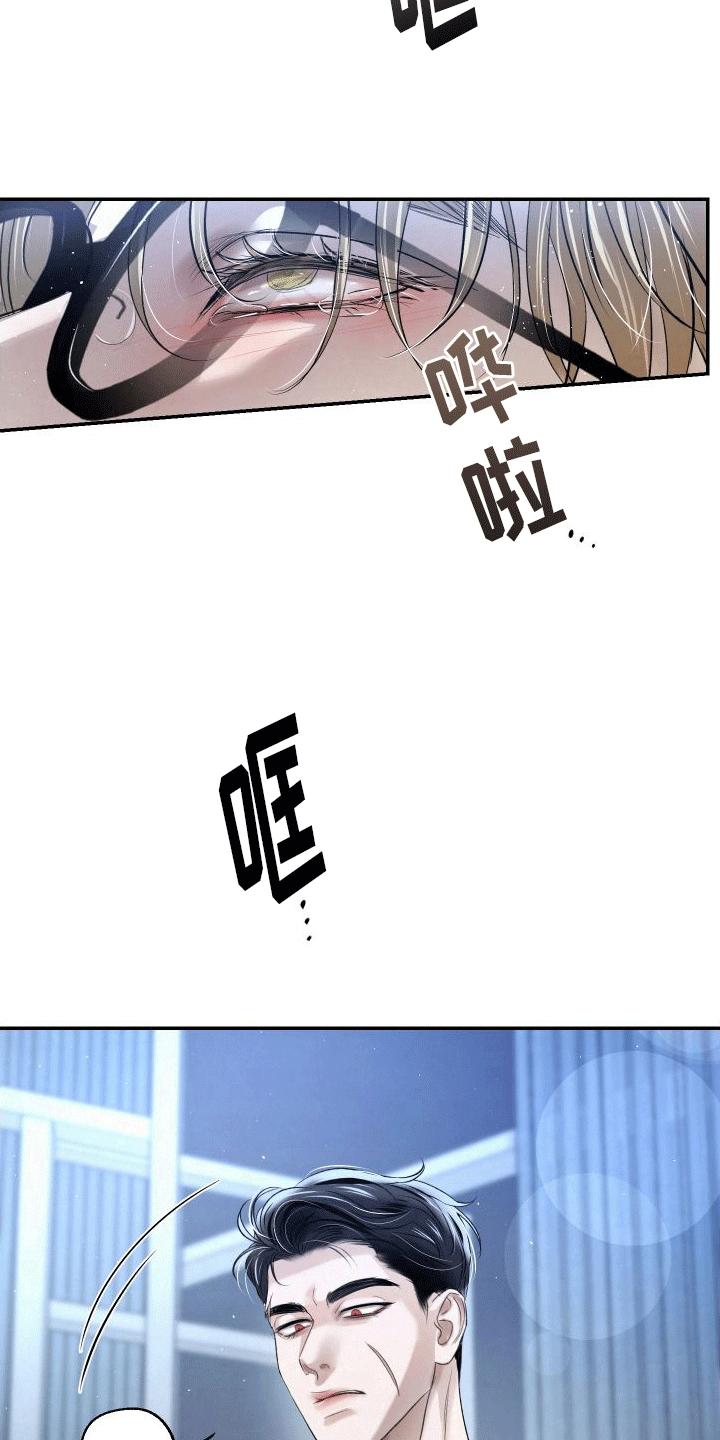 《血液指南》第7章：特殊的疏导 第32页