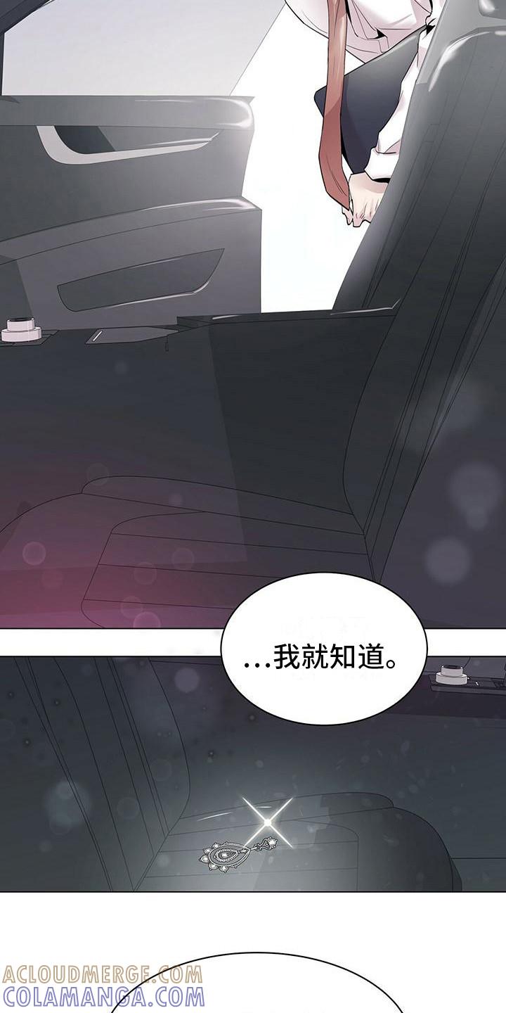 《虚情假意》第8章：耳环 第15页
