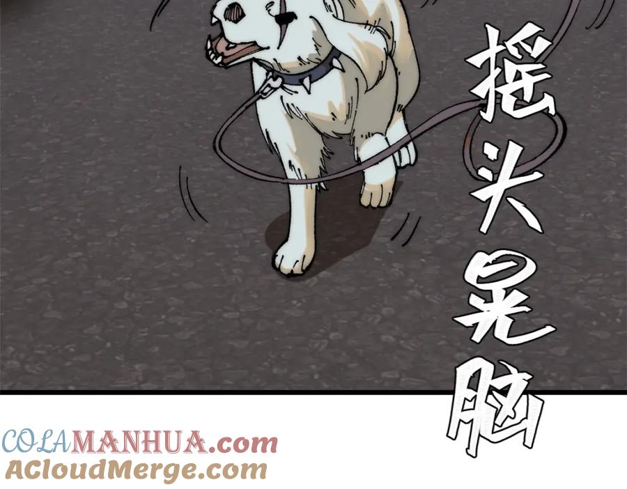 玩家凶猛 108 毛毛，给他炫一个 第93页