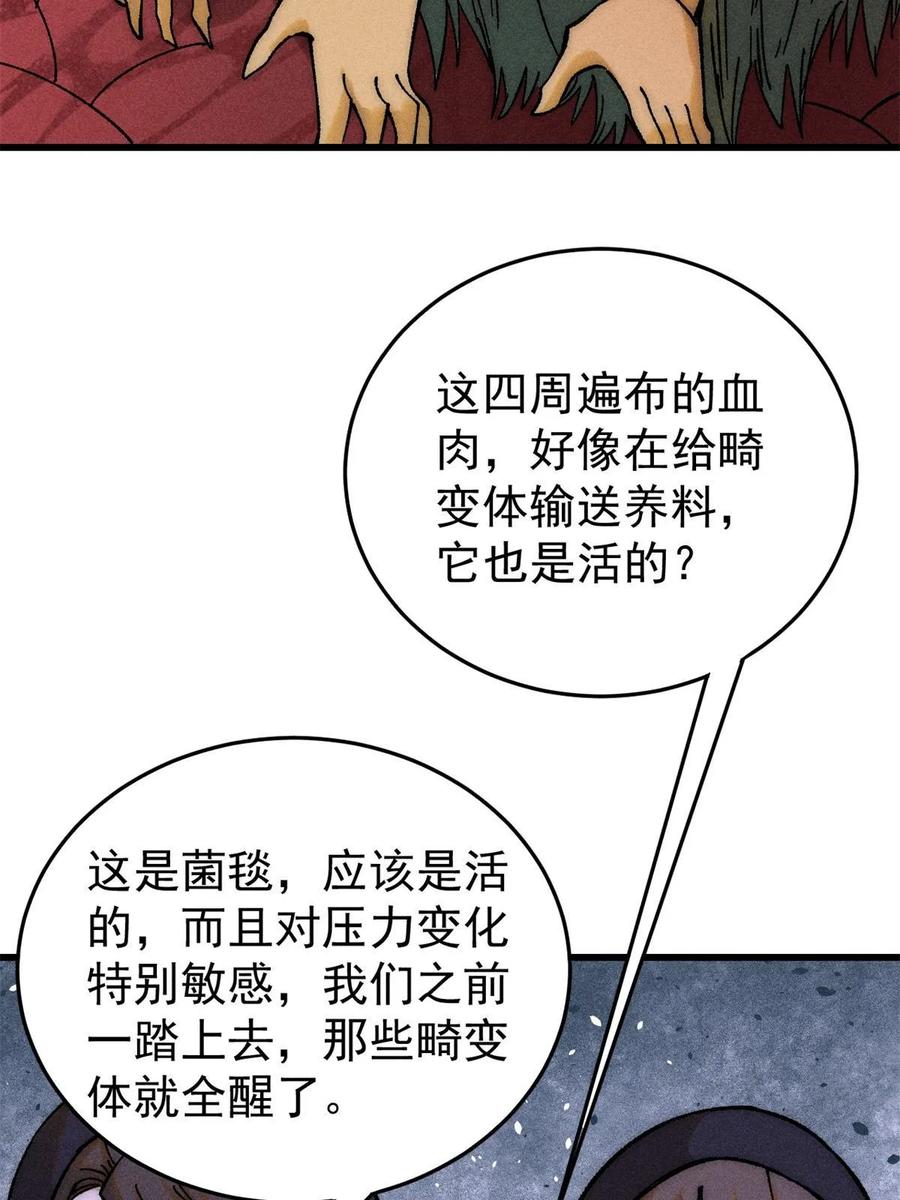玩家凶猛 71 疯狂无序的噩梦 第33页