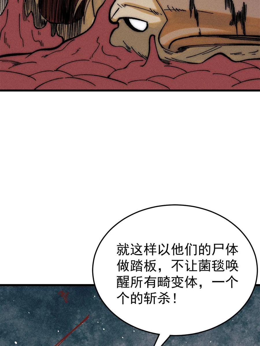 玩家凶猛 71 疯狂无序的噩梦 第66页