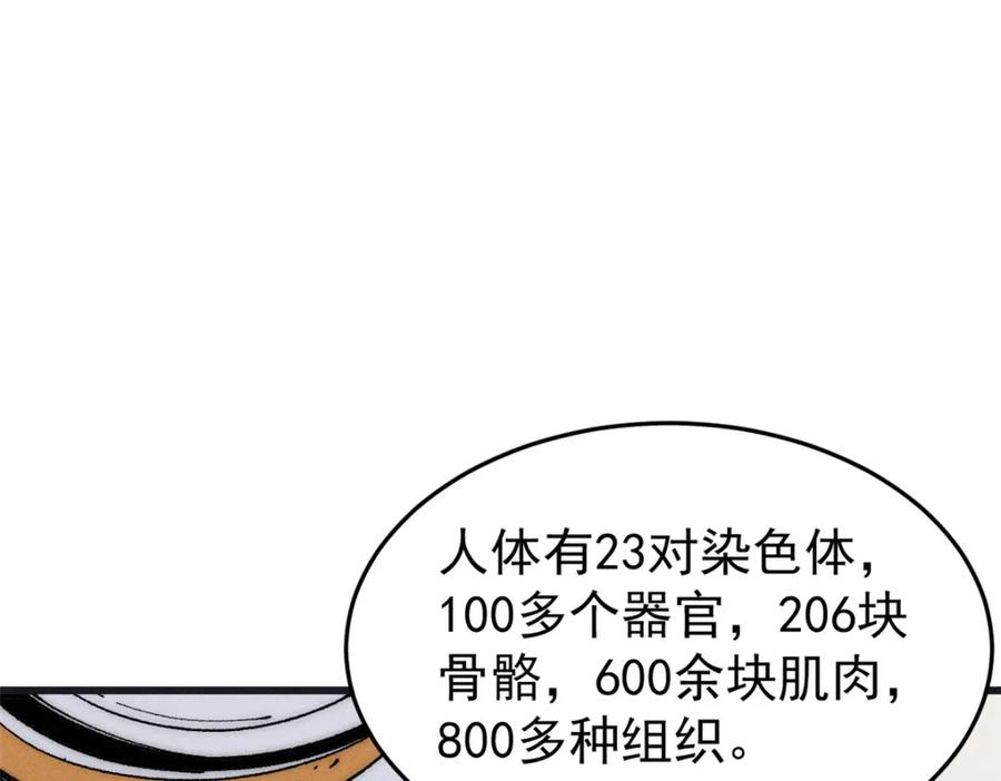 玩家凶猛 92 结构改造 第10页
