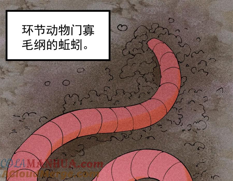 玩家凶猛 93 化身苏珊大妈 第5页