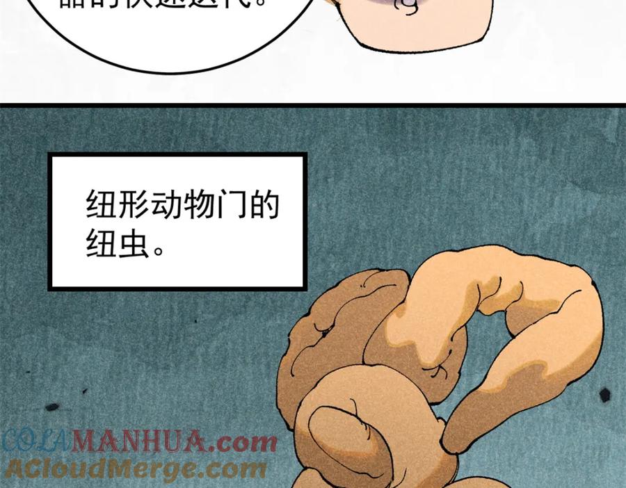 玩家凶猛 93 化身苏珊大妈 第9页