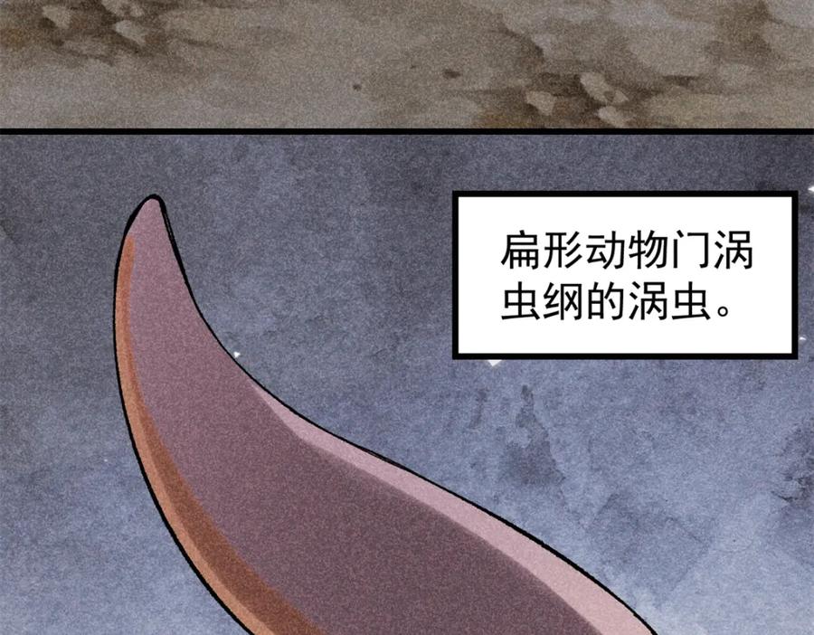 玩家凶猛 93 化身苏珊大妈 第7页