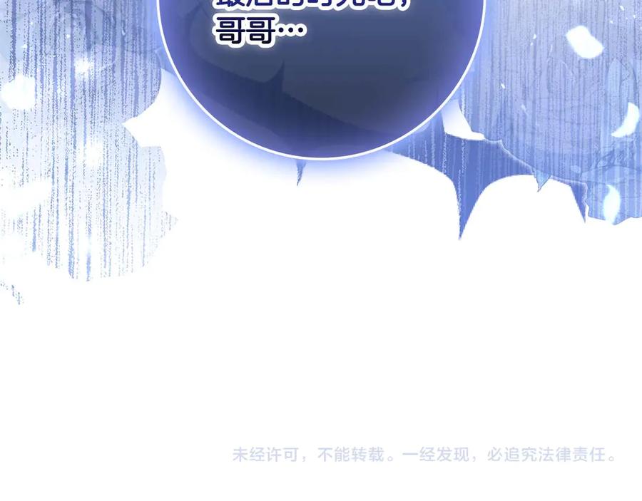 《伯爵大人夜未眠》第62话 兄弟之情就此做了结吧 第204页