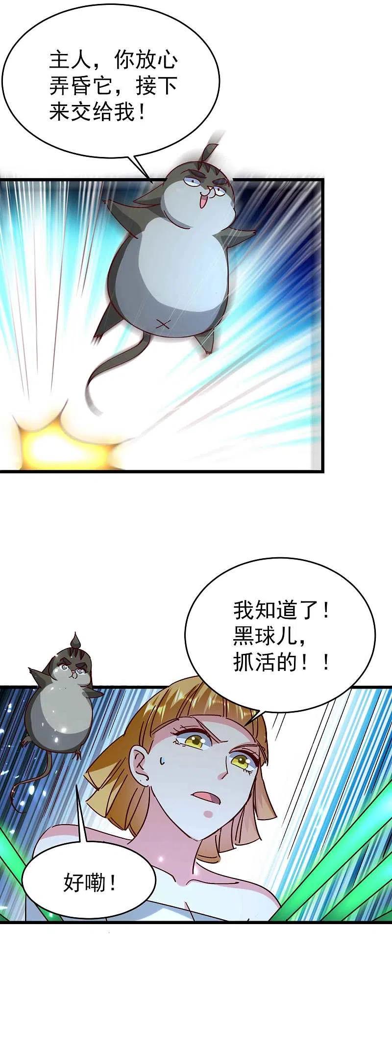 6.jpg