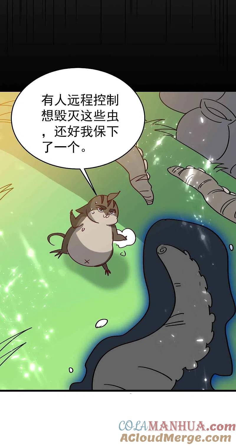 19.jpg