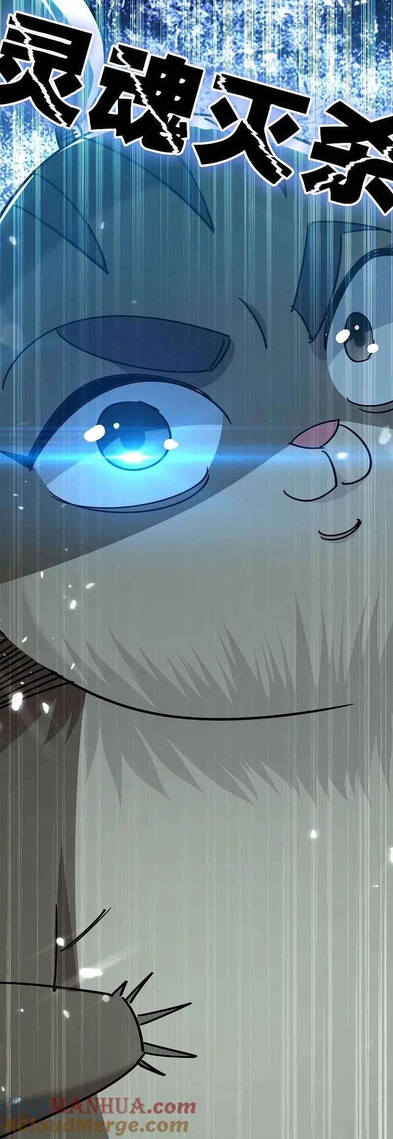 35.jpg