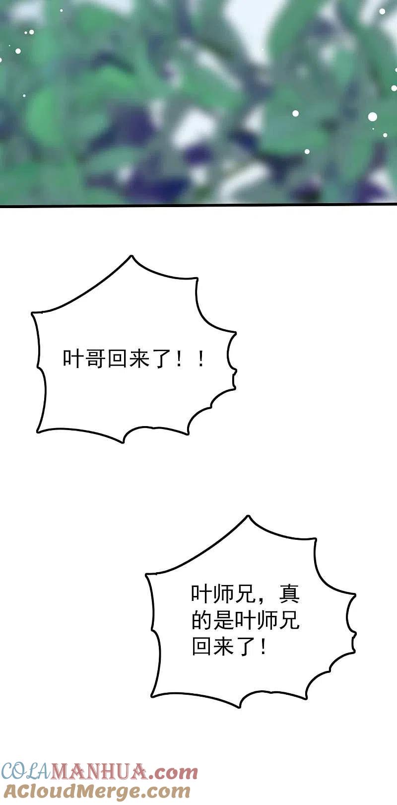 41.jpg