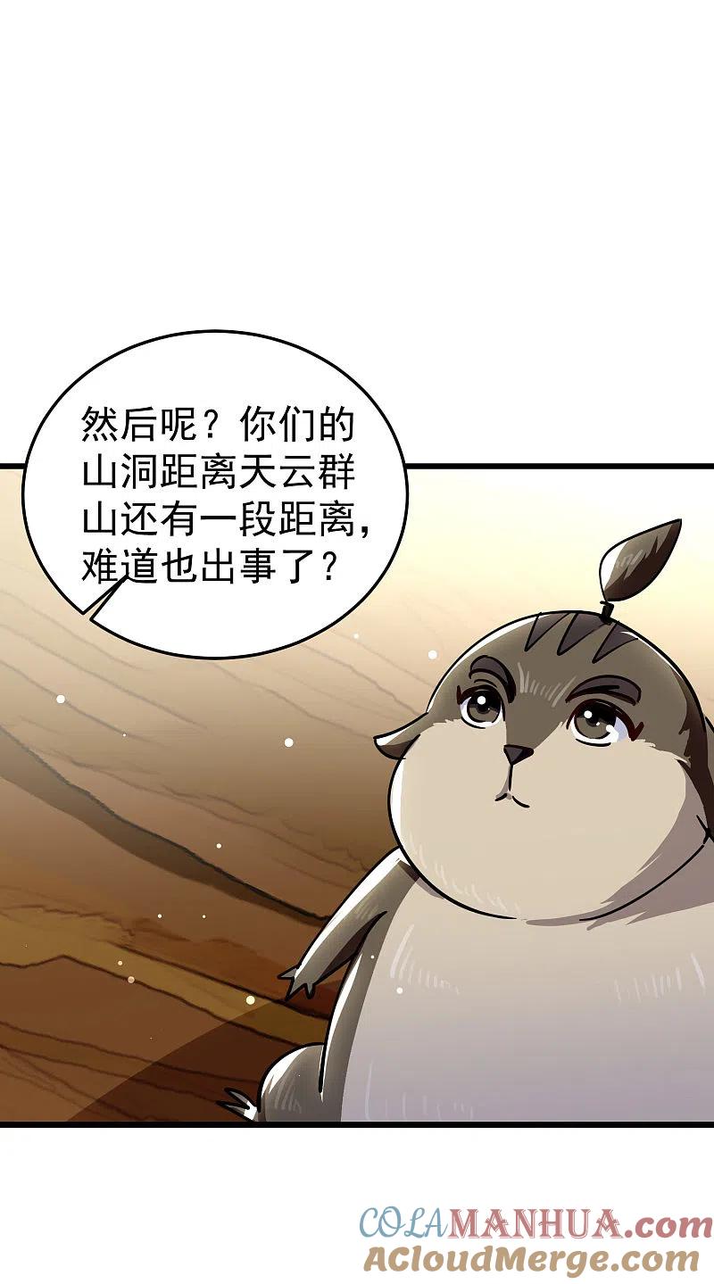 43.jpg