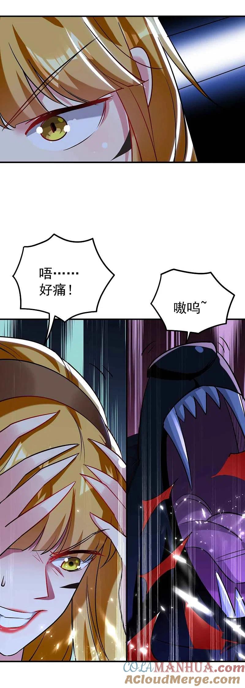 31.jpg
