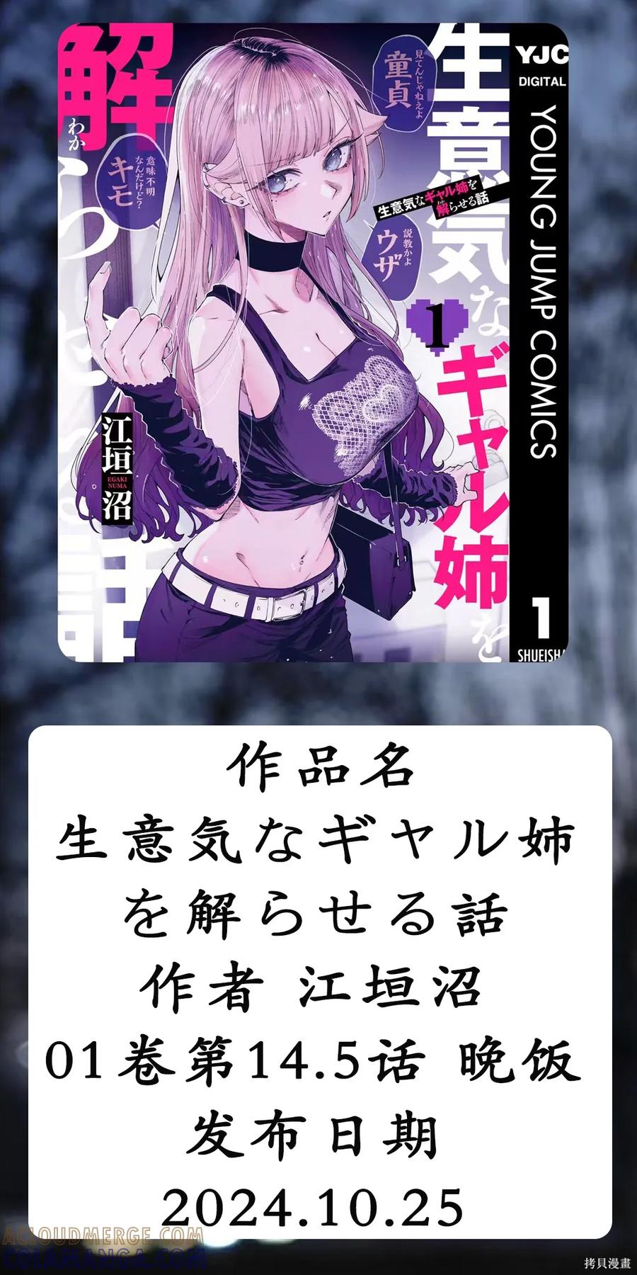 《用自己的方法降服叛逆姐姐的日子》第14.5话 第5页