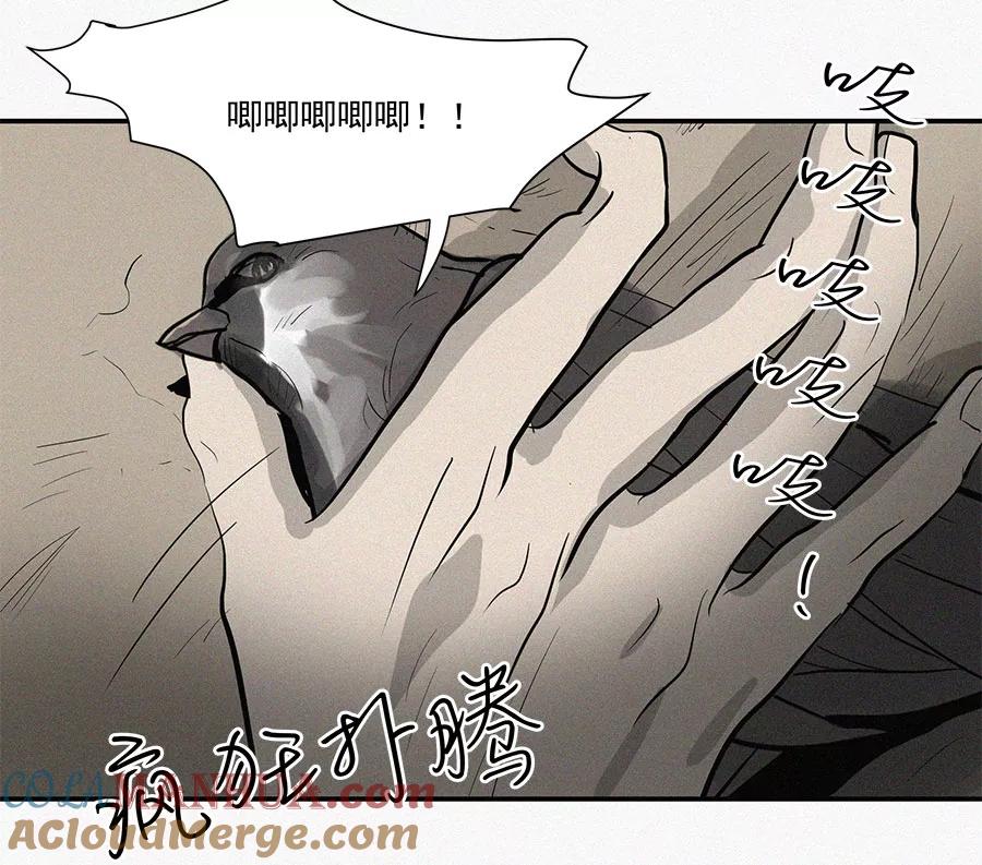 完美被害人 第11话 第46页