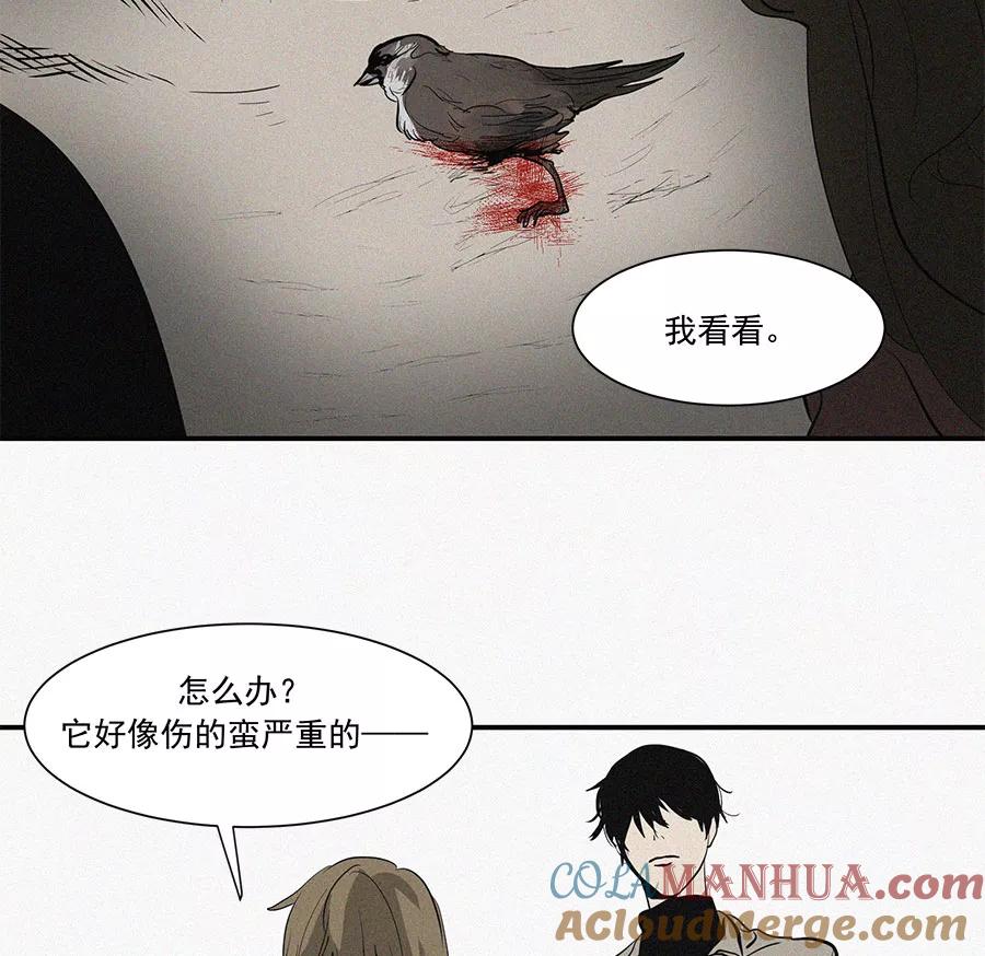 完美被害人 第11话 第25页