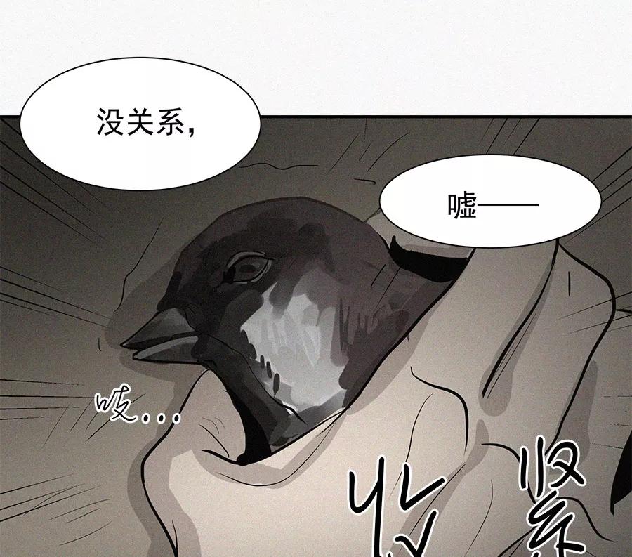 完美被害人 第11话 第47页