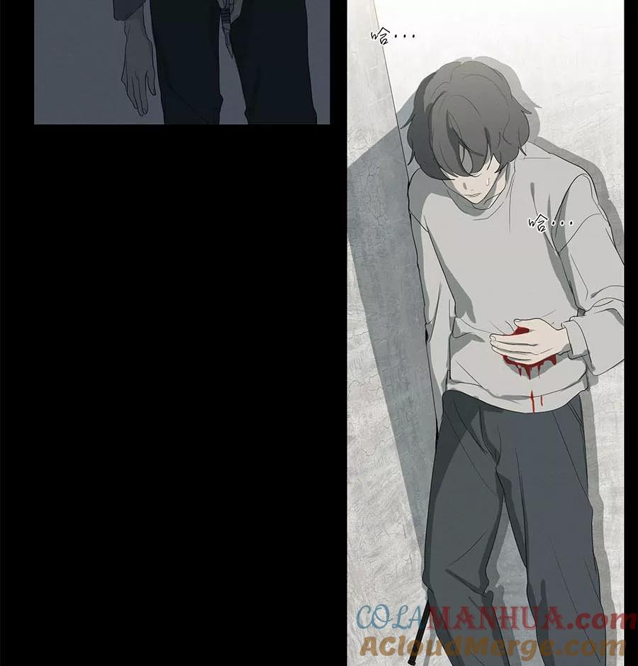 完美被害人 第96话 第5页