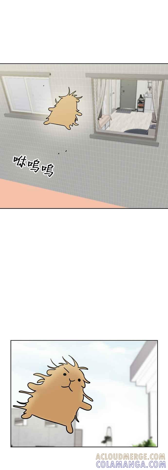 我家妹妹是狗狗 第76话 我是小仓鼠 第55页