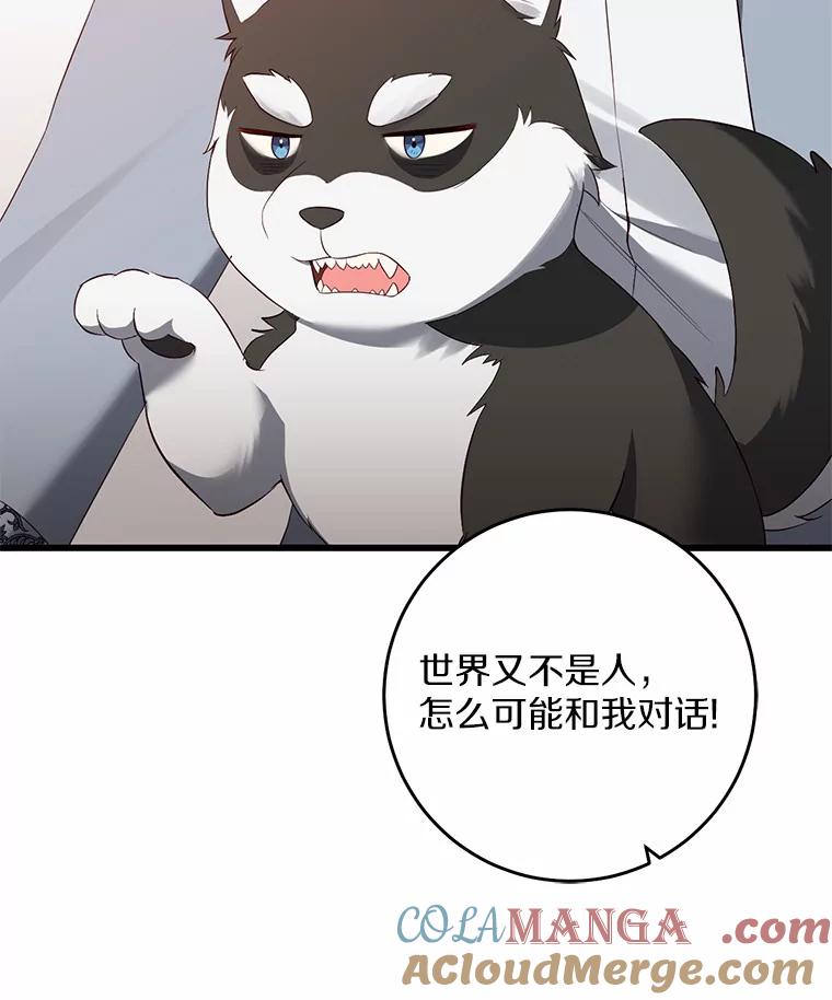 《从今天起，公爵府由我接管》12.学习魔法 第5页
