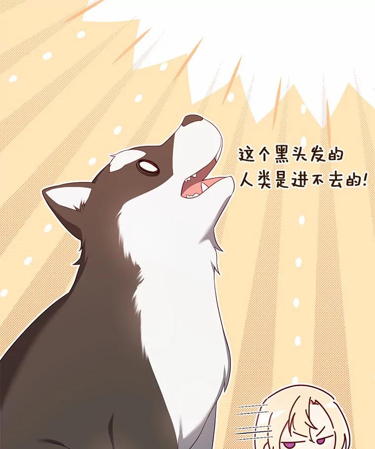 《从今天起，公爵府由我接管》17.临时补习 第24页