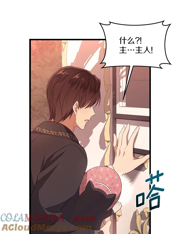 《从今天起，公爵府由我接管》23.遇袭 第73页