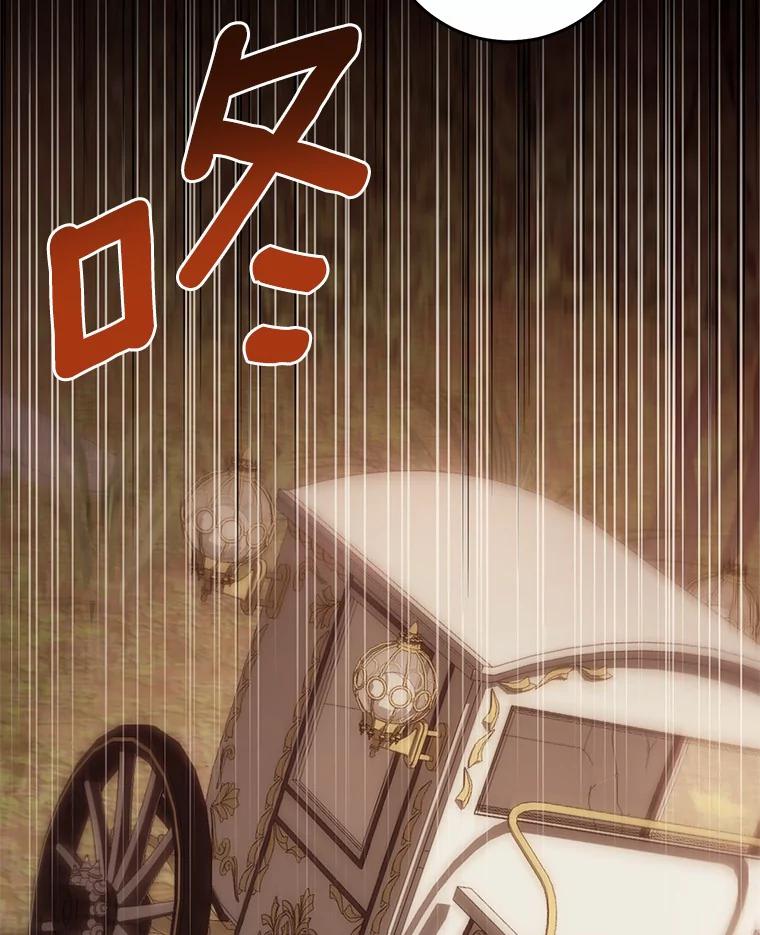 《从今天起，公爵府由我接管》23.遇袭 第64页
