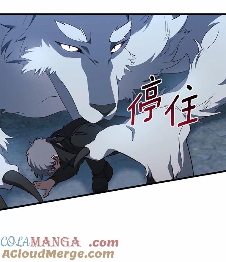 《从今天起，公爵府由我接管》23.遇袭 第113页