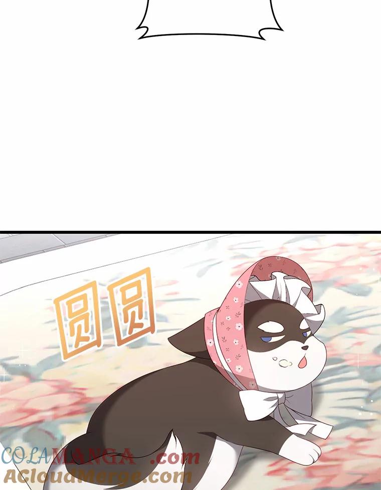 《从今天起，公爵府由我接管》23.遇袭 第33页