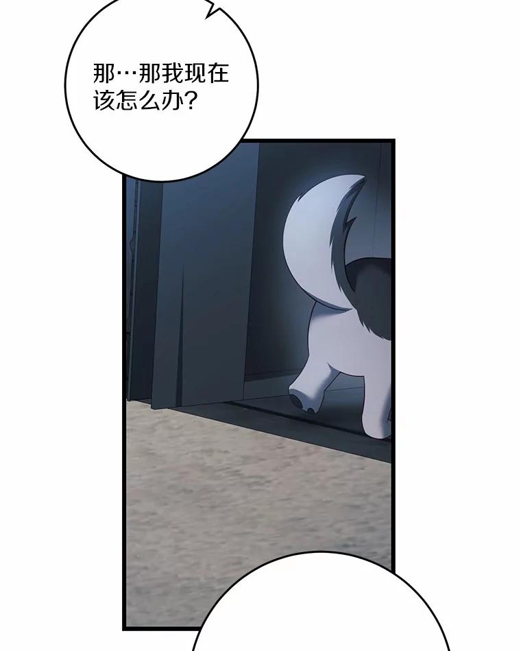 《从今天起，公爵府由我接管》24.第二个杀手 第66页